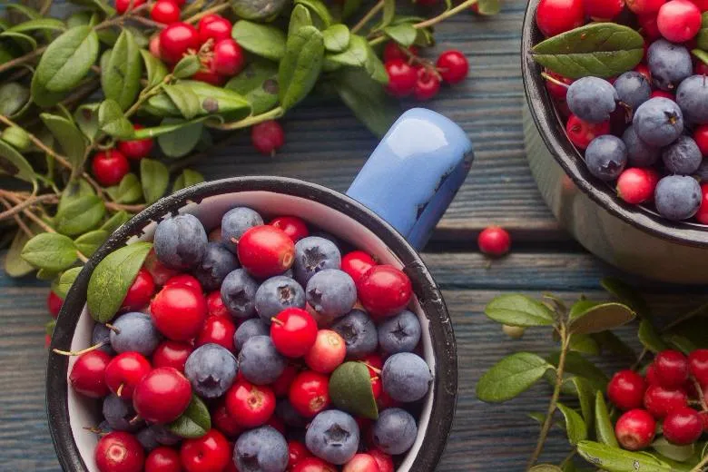 Обновление ассортимента: лучшие ягодные культуры теперь у нас Обновление ассортимента: лучшие ягодные культуры теперь у нас