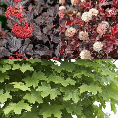 Комплект ОСЕННИЙ КОСТЕР в Твери