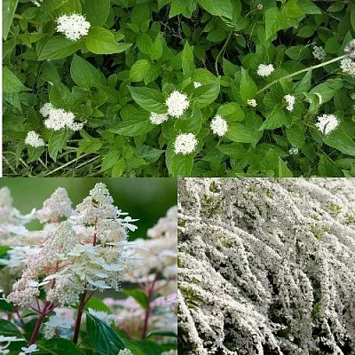 Комплект СКАНДИНАВСКИЙ СТИЛЬ в Твери