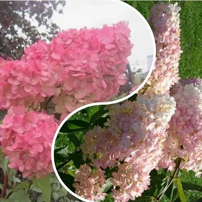 Комплект МНОГОГРАННОСТЬ в Твери