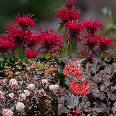 Комплект ОГНЕННЫЙ МИКС в Твери