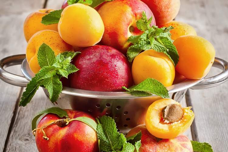 Новинка в мире садоводства: Уникальные саженцы персиков, абрикосов и нектаринов на вашем участке!