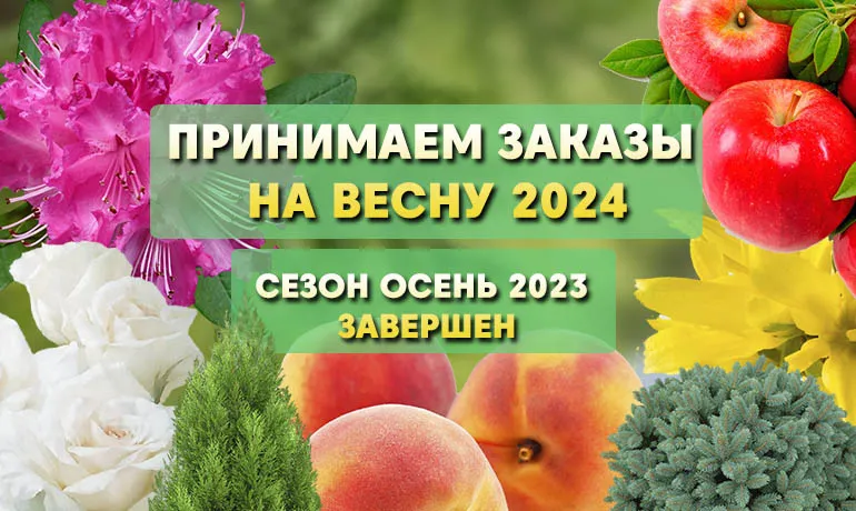 Сезон ОСЕНЬ 2023 ЗАВЕРШЕН